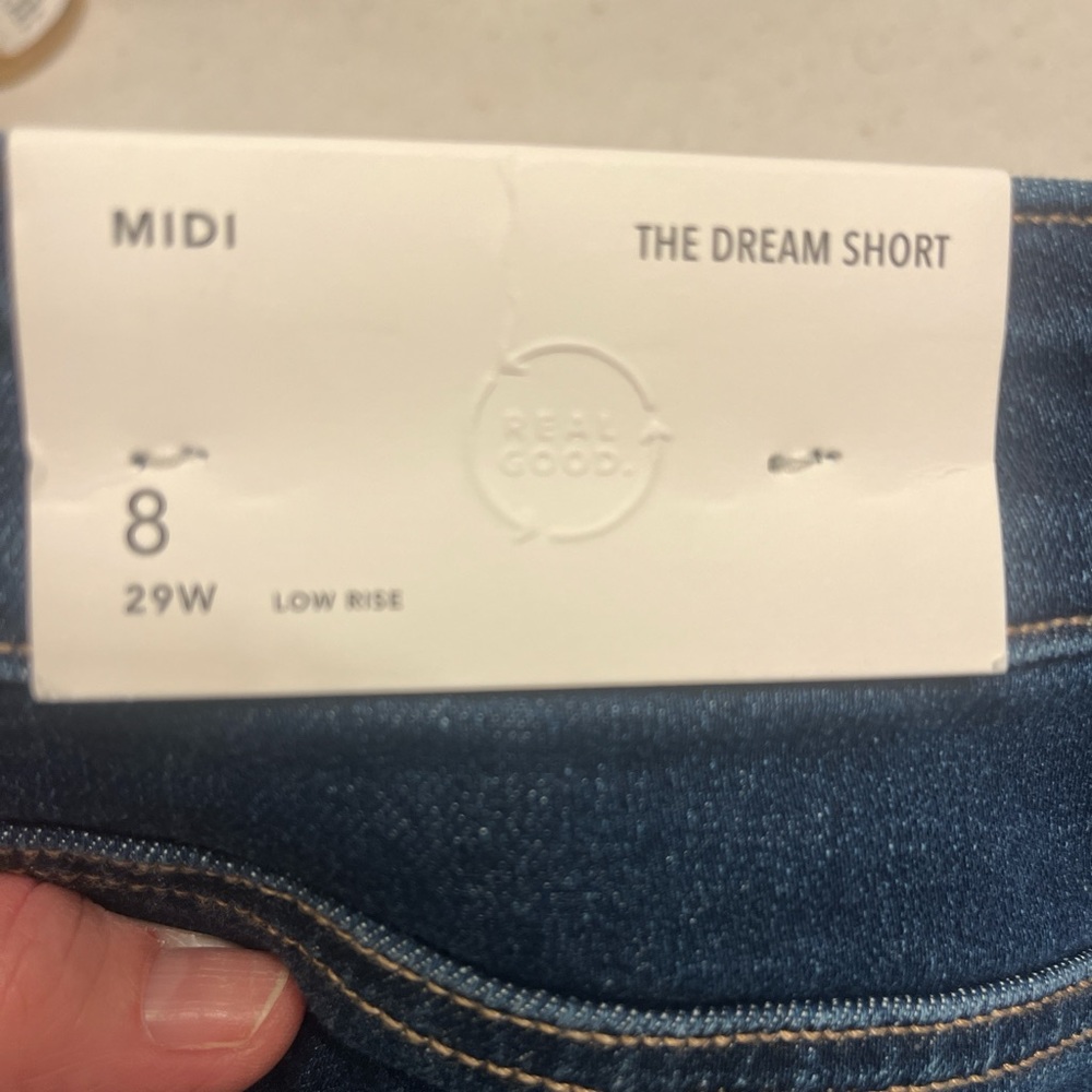 American Eagle Outfitters Blue Jean Shorts